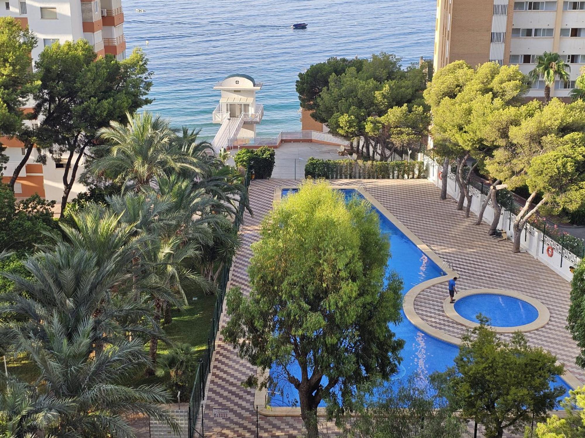 Provima B 7 If * Benidorm